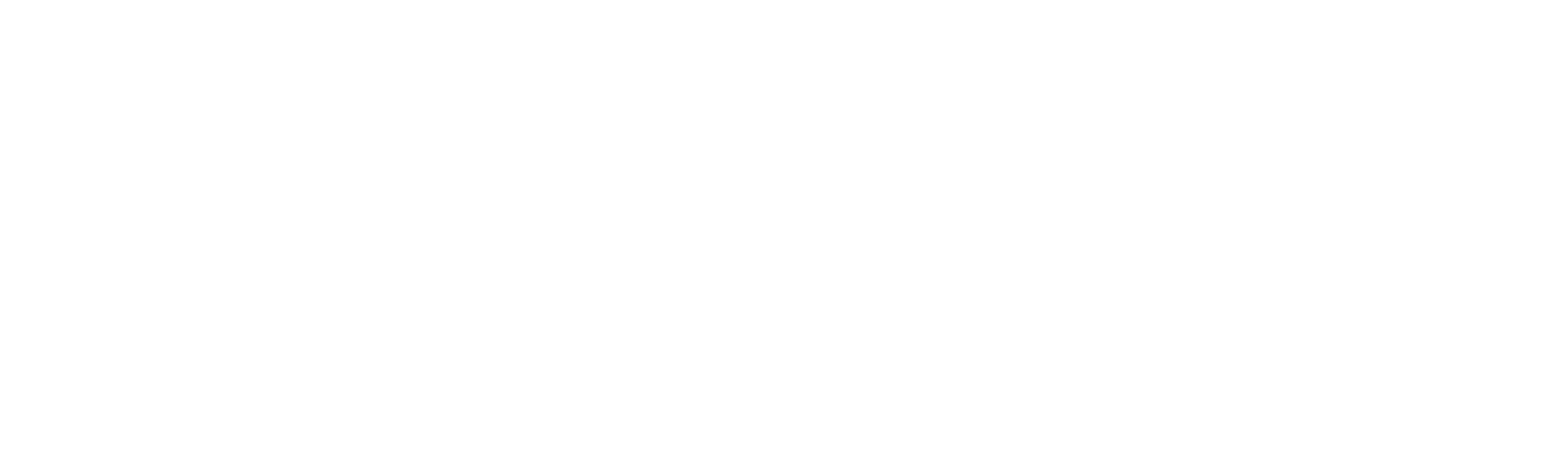 Logotipo da Foxnet Telecom